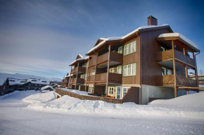 Bright, Open Apartment in Beitostølen